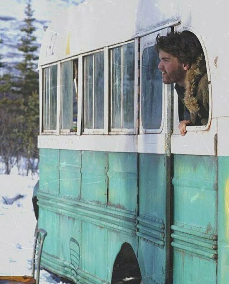 Into the Wild